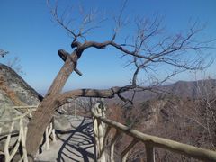 景点-丹东凤凰山景区