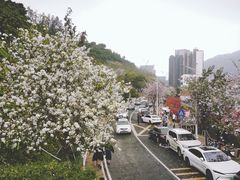 -小南山公园