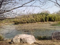 -淇河国家湿地公园