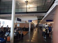 -蒙特利尔皮埃尔·埃利奥特·特鲁多国际机场