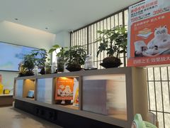 -长风拨筋养身(金虹桥店)