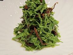 -子福慧(虹桥店)