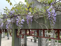 -沙市市中山公园