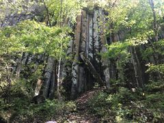 -望天鹅景区