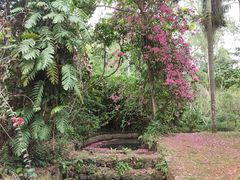 -海南热带野生动植物园
