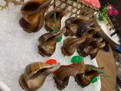 -尚海豆捞(乐虹坊店)