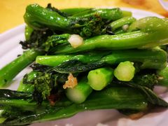 生炒连州菜心-粤·向群饭店(泮塘路店)