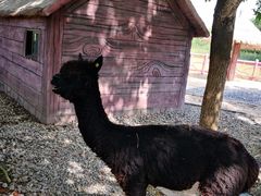 -昆山城市生态森林公园