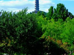 -北坞公园