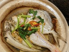 -锦粤宫·精致粤菜(深圳北站店)