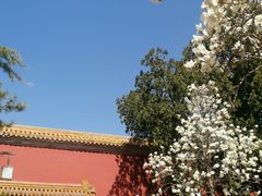 -北京市劳动人民文化宫(太庙)