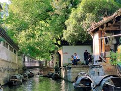 -绍兴鲁迅故里·沈园景区