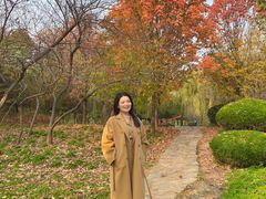 -洛阳市隋唐城遗址植物园
