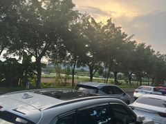 -光明农场大观园