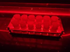 -Orangutan Bunker猩猩地堡酒吧(兰桂坊店)