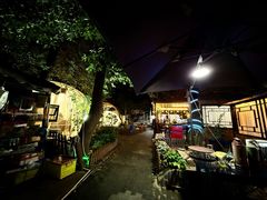 -张鸟园农家乐(张鸟园店)
