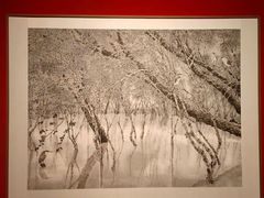 -江苏省美术馆(长江路新馆)