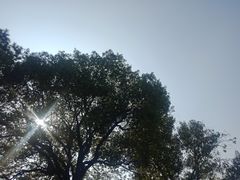 -月湖风景区
