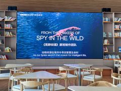-抱抱地球咖啡馆(国家海洋博物馆店)