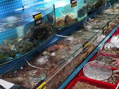 -望海潮海鲜店 特色家常菜(在海一方店)