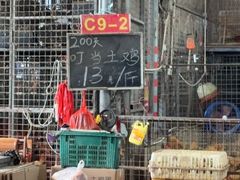 -海吉星市场