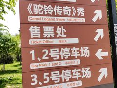 -《驼铃传奇》秀