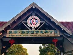 -上海海湾国家森林公园