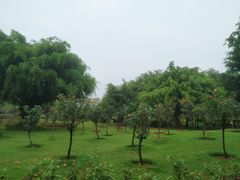 -南宁南湖公园