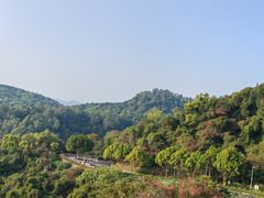 -火炉山森林公园