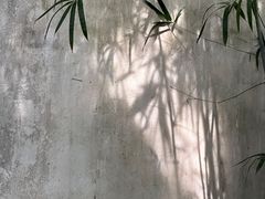 -留园