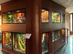 -帕帕拉兹宠物(亚洲旗舰店)