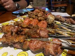 碳烤红柳羊肉-新疆烧烤王(广灵店)