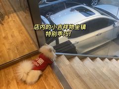 -脉冲品质汽美·贴膜(闵行店)