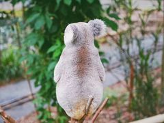 -可伦宾野生动物保护区