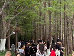 -云龙湖旅游景区