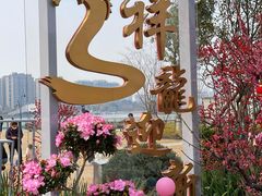 -金沙湖公园
