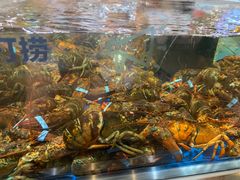 -盒马X会员店(王府井奥莱UP TOWN店)