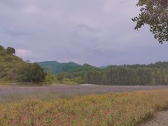 -紫海香堤香草艺术庄园