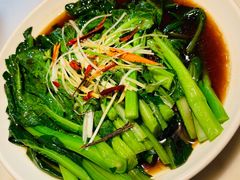 白灼菜心-日丰园海肠水饺·老字号大连海鲜(和平广场店)