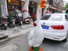 -巢湖名吃·东关老鹅汤(江南风情街店)