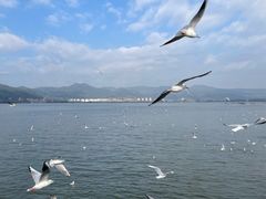 -海埂大坝