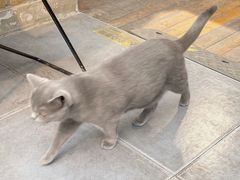 -IN COFFEE LAB 隐咖啡