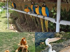 -西霞口神雕山野生动物世界