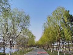 -尚贤河湿地