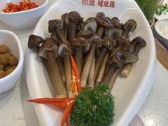 -好彩猪肚鸡(正弘城店)