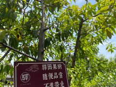 -驿舍·民國老营房院子私房菜(科学会堂店)