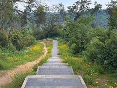 -青龙山国家森林公园