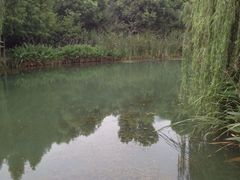 iphone_upload_pic-暨阳湖大酒店-西餐厅