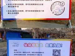 -秀丽东方