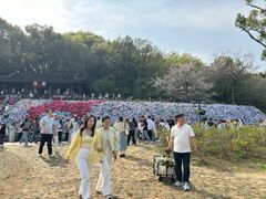 -苏州上方山国家森林公园